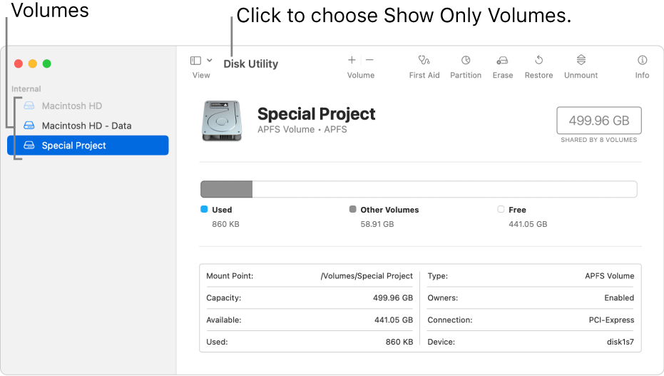 A Disk Utility window in show only volumes view.