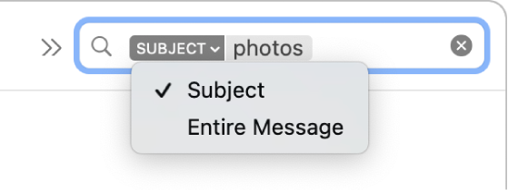 A search filter whose down arrow was clicked to show two options: Subject and Entire Message. Subject is selected.