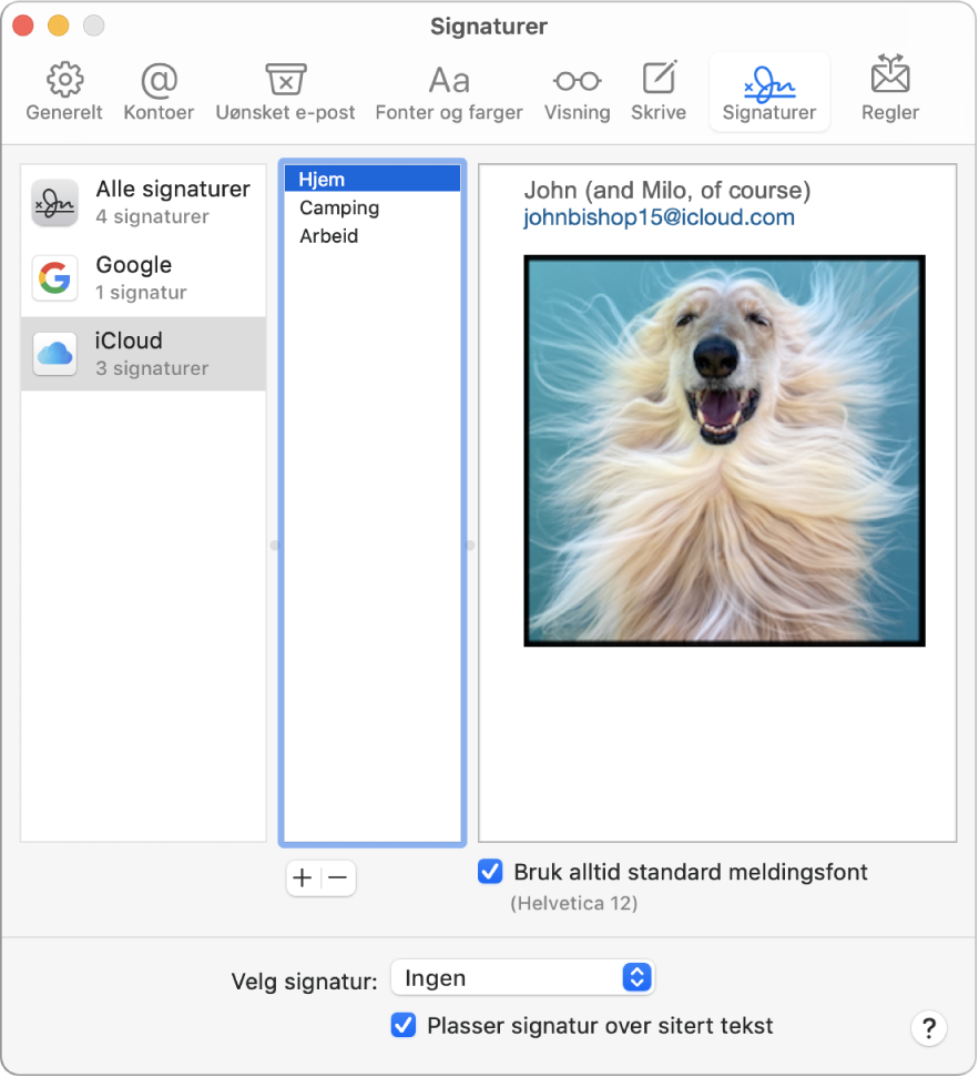 Signaturer-valg i Mail som viser en signatur som inneholder formatert tekst og et bilde.