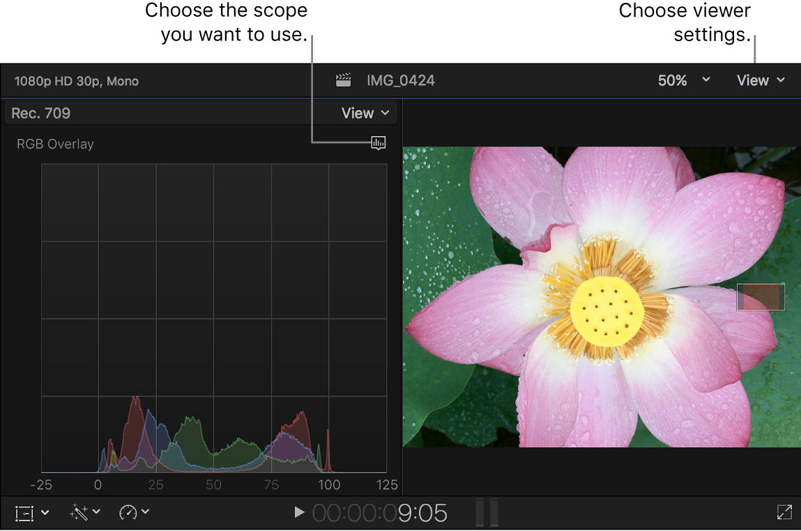 The RGB Overlay histogram shown to the left of the viewer