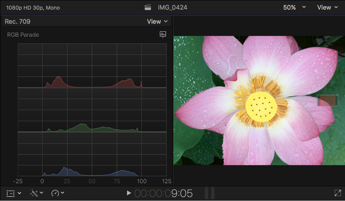 The RGB Parade histogram shown to the left of the viewer