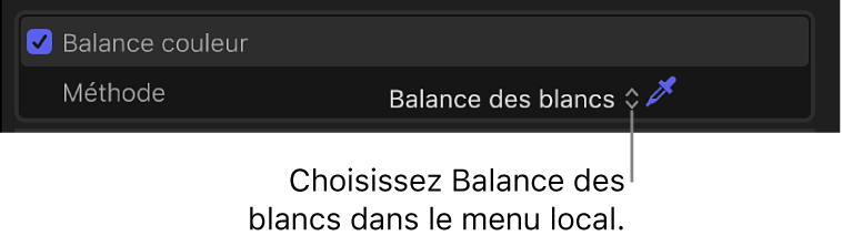 Section Balance des couleurs de l’inspecteur vidéo avec le réglage Balance des blancs