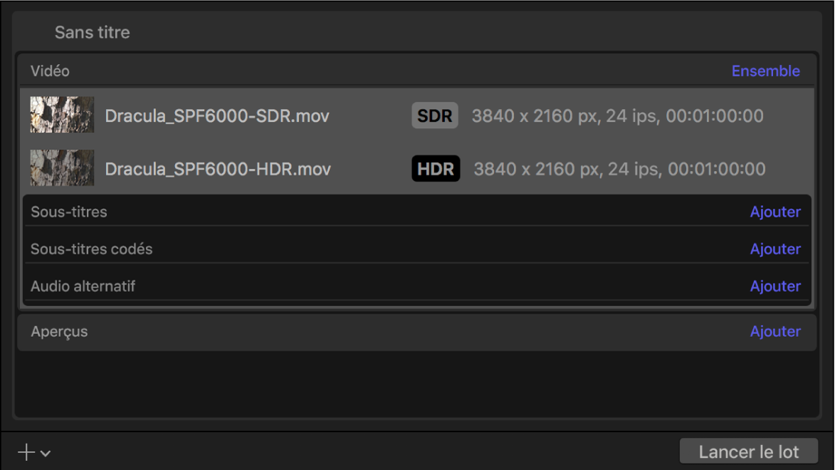 Zone du lot affichant les informations de sortie pour de la vidéo SDR et de la vidéo HDR.