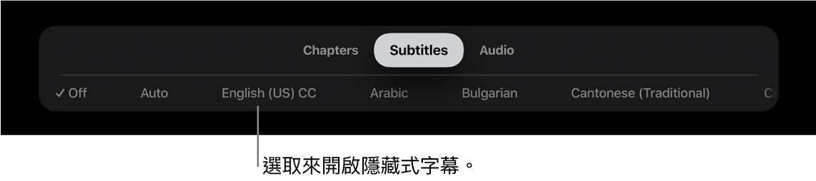 播放期間的「字幕」選單