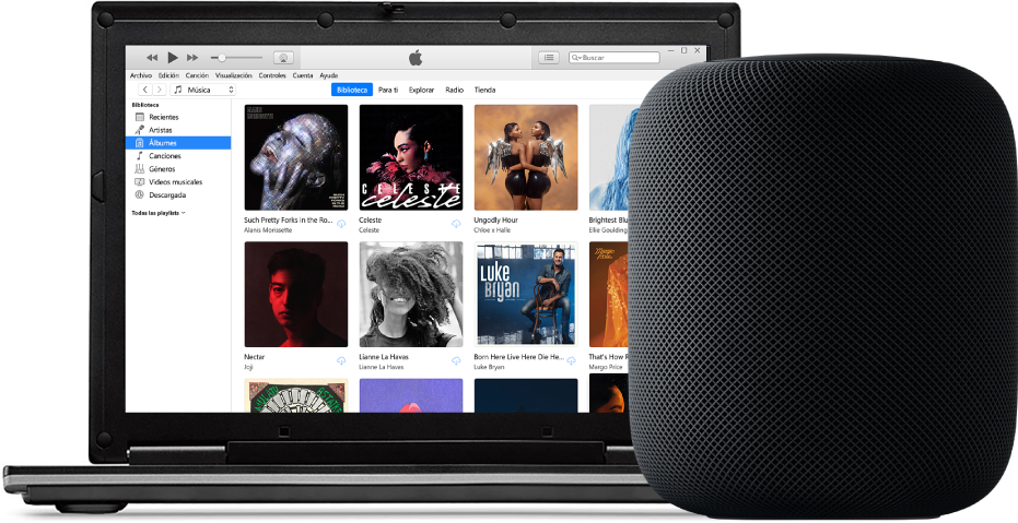 Una PC con iTunes en la pantalla y un HomePod cerca.