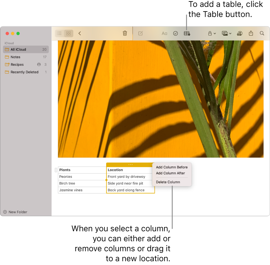 The Notes window showing the Table button—click it to add a table. Within the note content, a table column is selected so you can either add or remove columns or drag it to a new location.