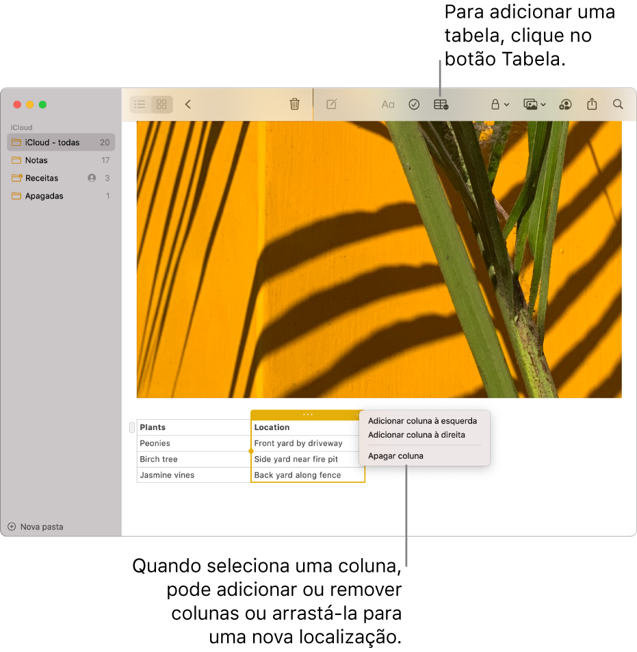 A janela Notas a mostrar o botão Tabela, clique-lhe para adicionar uma tabela. Dentro do conteúdo da nota, é selecionada uma coluna da tabela para que adicione ou remova colunas ou para que a arraste para um novo local.