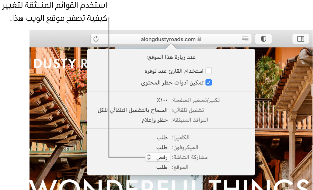 مربع حوار يظهر أسفل حقل البحث الذكي عند اختيار Safari > إعدادات موقع الويب هذا. يحتوي مربع الحوار على خيارات لتخصيص طريقة استعراضك لموقع الويب الحالي، بما في ذلك استخدام عرض القارئ، وتمكين أدوات حظر المحتوى، والمزيد.