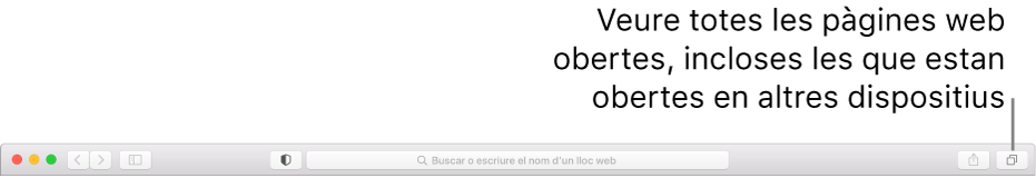 La barra d’eines mostrant el botó “Mostrar la visió general de pestanyes”.