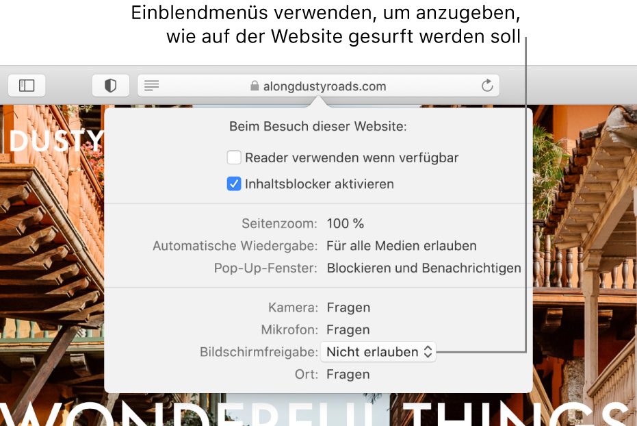 Das Dialogfenster, das unter dem intelligenten Suchfeld angezeigt wird, wenn du „Safari“ > „Einstellungen für diese Website“ auswählst. Das Dialogfenster enthält die Optionen „Reader verwenden“, „Inhaltsblocker aktivieren“ und andere Optionen, mit denen du das Verhalten der aktuellen Website anpassen kannst.