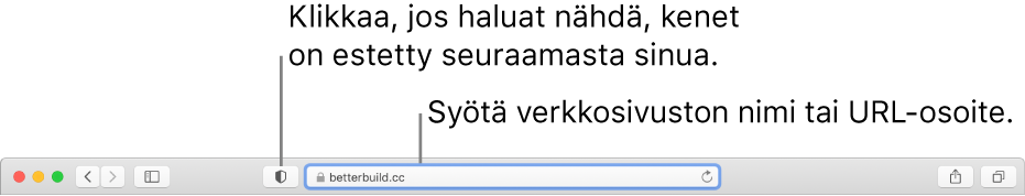 Safarin työkalupalkki, jossa näkyy Yksityisyysraportti-painike ja verkkosivusto älykkäässä hakukentässä.