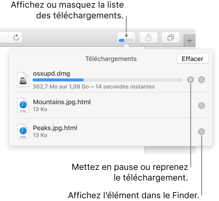 Le bouton Téléchargements de la barre d’outils, avec la liste de téléchargements sous celui-ci.