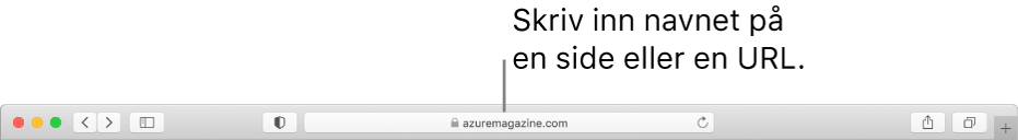 Det smarte søkefeltet i Safari, der du kan skrive inn en sides navn eller URL.