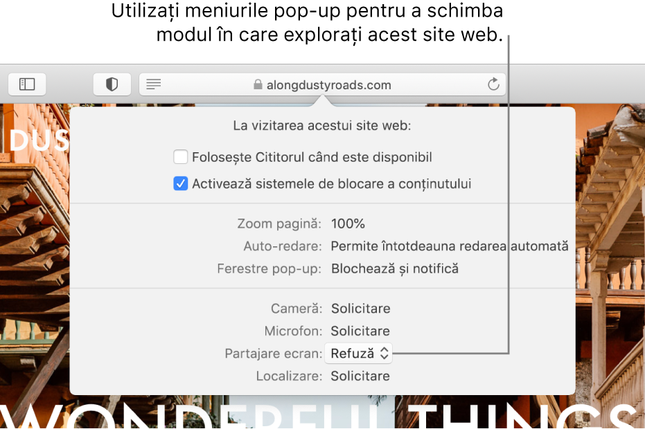 Fereastra de dialog care apare sub câmpul inteligent de căutare atunci când alegeți Safari > Configurările pentru acest site web. Fereastra de dialog include opțiuni pentru personalizarea modului în care navigați în site-ul web curent, inclusiv pentru utilizarea vizualizării Cititor, activarea sistemelor de blocare a conținutului etc.