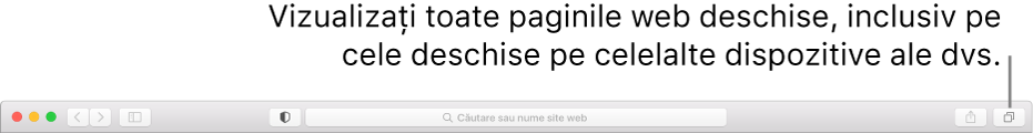 Bara de instrumente afișând butonul “Afișează prezentarea filelor”.