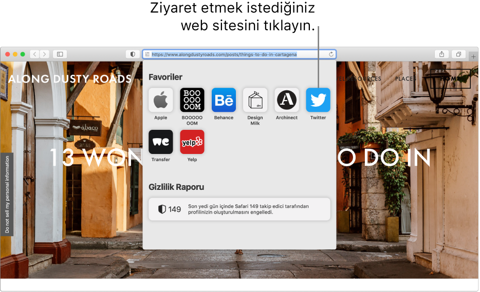 Safari Akıllı Arama alanı; altında ise Favoriler’i ve Gizlilik Raporu özetini gösteren başlangıç sayfası.