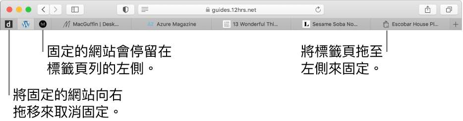 位於 Safari 標籤頁列中的固定的網站。