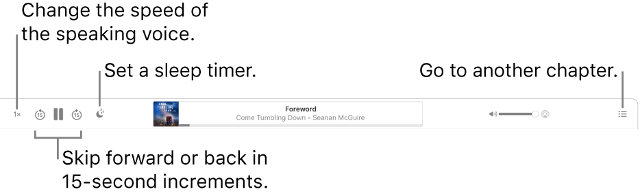 The audiobook player in Apple Books showing, from left to right, the Playback Speed button, the Skip Forward and Skip Back buttons, the Sleep Timer button, the title and author of the currently playing audiobook, the Volume slider and the Table of Contents button.