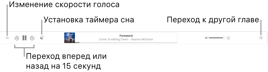 Плеер аудиокниг в приложении «Книги». Слева направо показаны кнопки «Скорость воспроизведения», «Перемотка вперед», «Перемотка назад», «Таймер сна», название и автор воспроизводимой аудиокниги, бегунок громкости и кнопка оглавления.