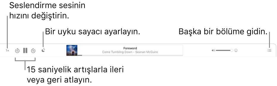 Soldan sağa Çalma Hızı düğmesini, İleriye Doğru Atla ve Geriye Doğru Atla düğmelerini, Uyku Sayacı düğmesini, o anda çalan sesli kitabın adını ve yazarını, Ses Yüksekliği sürgüsünü ve İçindekiler düğmesini gösteren Apple Kitaplar’daki sesli kitap çalar.