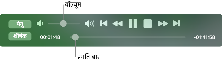 शीर्ष-बाएँ क्षेत्र में वॉल्यूम स्लाइडर और नीचे टाइमलाइन के साथ, DVD प्लेयर के प्लेबैक नियंत्रण। फ़िल्म में किसी भिन्न स्थान पर जाने के लिए प्रगति हैंडल को टाइमलाइन में ड्रैग करें।