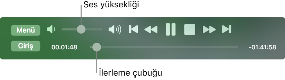 Sol üst bölümde ses yüksekliği sürgüsü ve alt kısımda zaman ekseninin olduğu DVD Oynatıcı oynatma denetimleri. Filmde farklı bir yere gitmek için zaman eksenindeki ilerleme tutamağını sürükleyin.