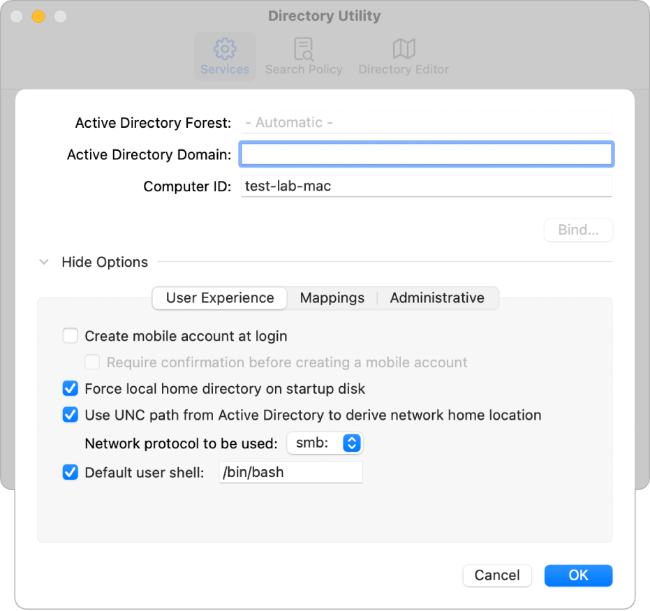 The Active Directory configuration dialog with the options section expanded.