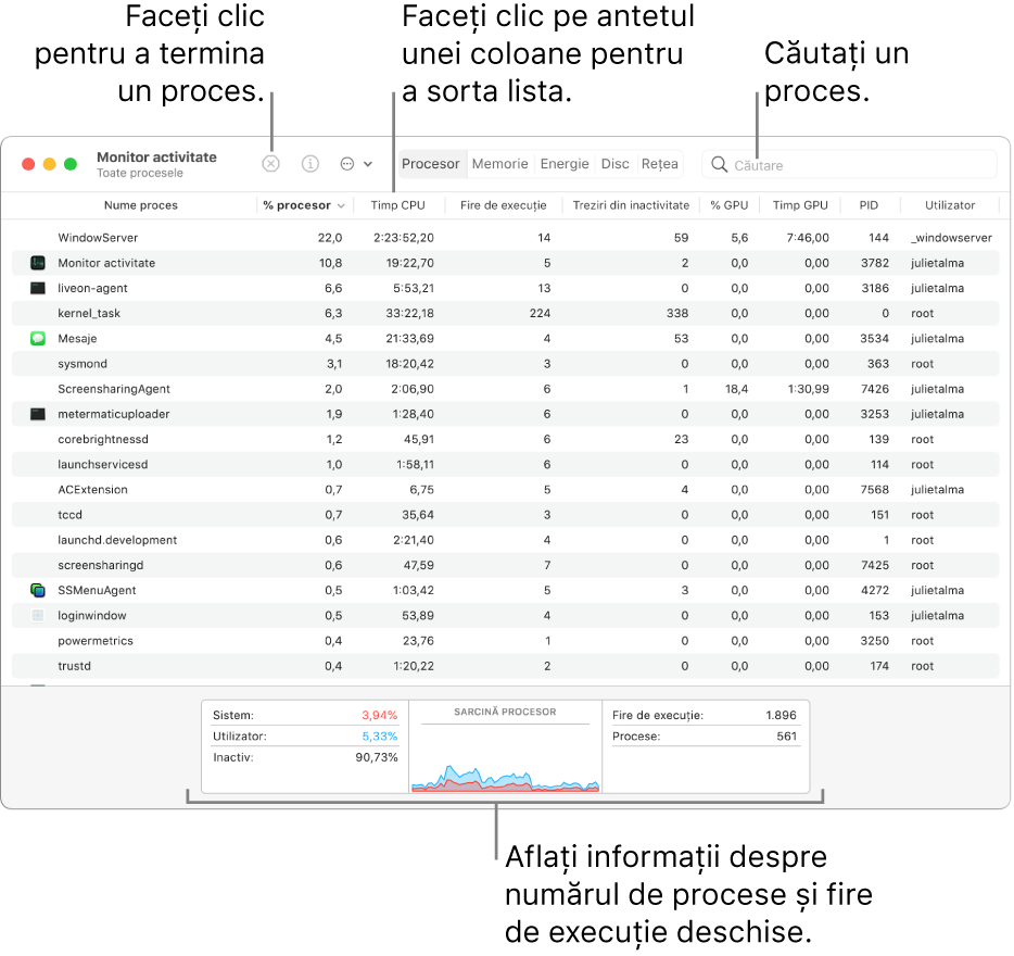 Fereastră Monitor activitate indicând activitatea procesorului. Pentru a termina un proces, faceți clic pe butonul Terminare forțată, în colțul stânga sus. Pentru a sorta datele după coloană, faceți clic pe antetul de coloană. Pentru a căuta un proces, introduceți numele în câmpul de căutare. În partea de jos a ferestrei, consultați informațiile despre numărul de procese și fire deschise.