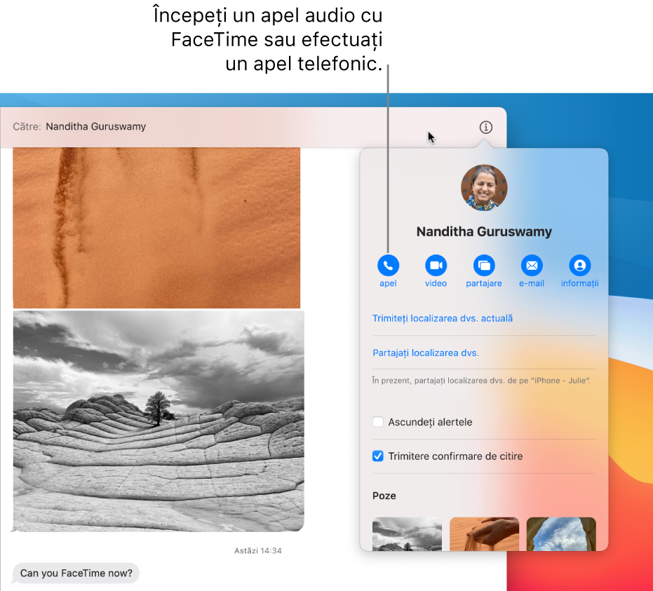 Vizualizarea Detalii care apare după ce faceți clic pe butonul Detalii în cadrul unei conversații. Utilizați butonul de apelare din stânga pentru a începe un apel audio FaceTime sau pentru a efectua un apel telefonic.