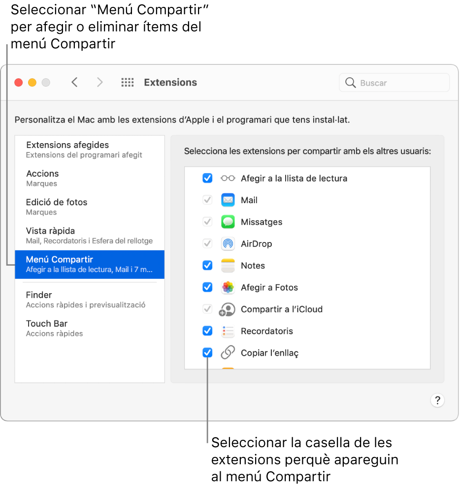 El tauler Extensions de les Preferències del Sistema, amb el menú Compartir seleccionat una llista d’extensions de tercers a la dreta.