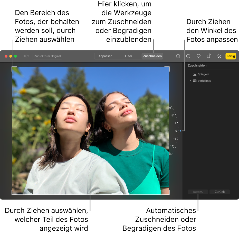 Ein Foto in der Bearbeitungsansicht mit dem ausgewählten Werkzeug „Zuschneiden“ in der Symbolleiste, einem Auswahlrahmen um das Foto, einem Rad rechts neben dem Foto und der Taste „Autom.“ unten rechts.