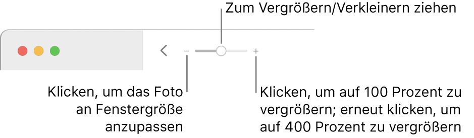 Die Symbolleiste mit den Zoomsteuerungen.