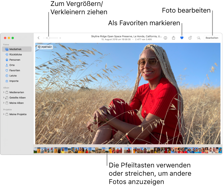 Das Fenster „Fotos“ mit einem vergrößert dargestellten Foto rechts und einer Reihe von Miniaturen darunter. Die Symbolleiste oben umfasst den Zoomregler und die Tasten „Favorit“ und „Bearbeiten“.