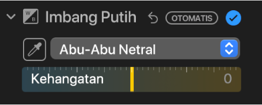 Kontrol Imbang Putih di panel Sesuaikan.