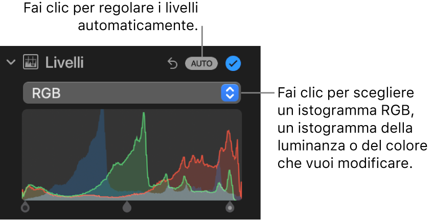 I controlli Livelli nel pannello Regola, che mostrano il pulsante Automatico nella parte superiore destra e l'istogramma RGB al di sotto.