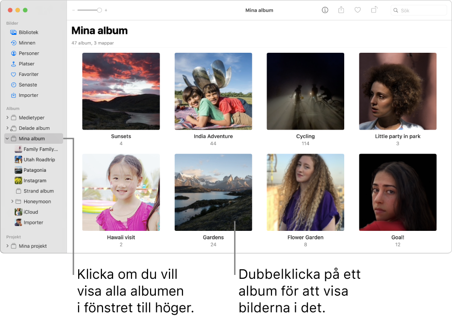 Bilder-fönster med Mina album markerat i sidofältet. De album du har skapat visas i fönstret till höger.