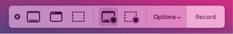 Screenshot tools with the Record button on the right and the Options pop-up menu next to it.
