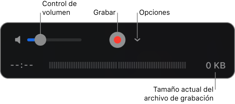 Los controles de grabación, incluido el control de volumen, el botón Grabar y el menú desplegable Opciones.