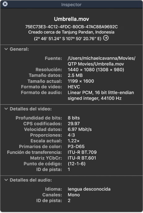 El inspector de videos mostrando información general sobre el archivo, como la resolución, el tamaño y el formato de audio y video. La ventana también muestra los detalles sobre el audio y video del archivo seleccionado.