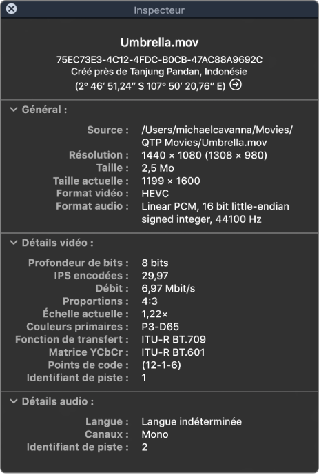 L’inspecteur de vidéo affichant les informations générales sur le fichier, dont la résolution, la taille des données, ainsi que le format vidéo et audio. La fenêtre indique également les détails vidéo et audio du fichier sélectionné.