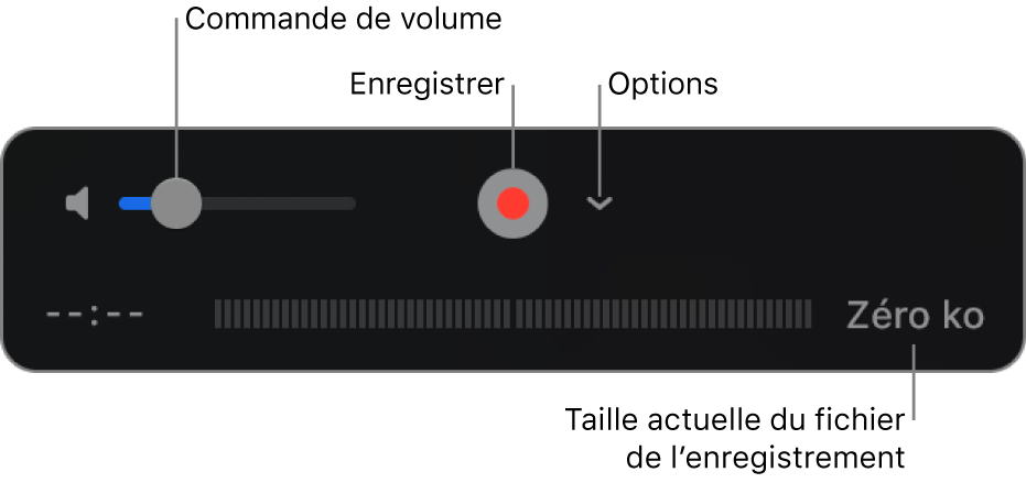 Les commandes d’enregistrement, notamment le contrôle du volume et le bouton Enregistrer, et le menu local Options.