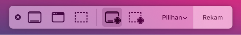 Alat Jepretan Layar dengan tombol Rekam di sebelah kanan dan menu pop-up Pilihan di sampingnya.