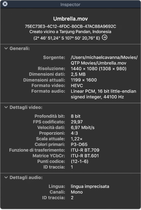 Inspector filmato che mostra informazioni generali sul file, tra cui risoluzione, dimensione dati e formato video e audio. La finestra mostra anche dettagli video e audio del file selezionato.