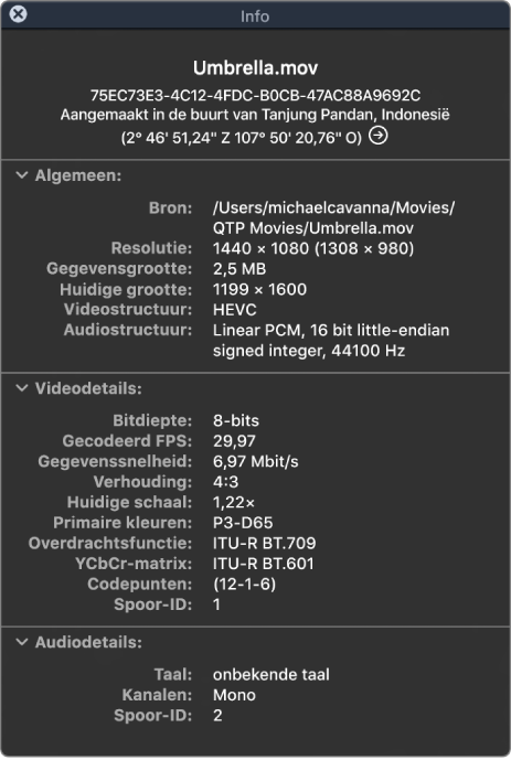 Het filminfovenster met algemene informatie over het bestand zoals resolutie, gegevensgrootte en video- en audiostructuur. Het venster toont ook video- en audiogegevens over het geselecteerd bestand.