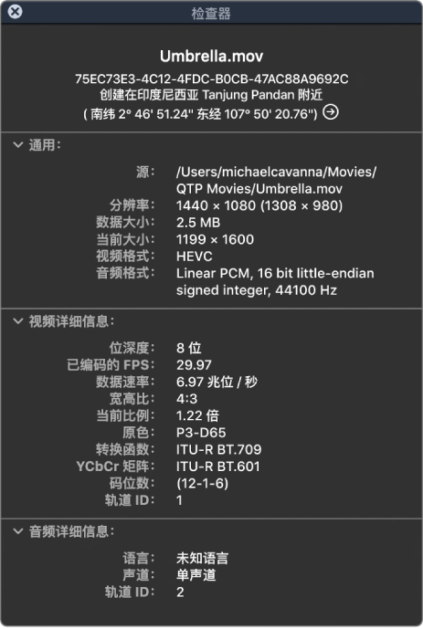 影片检查器，显示文件的相关通用信息，包括分辨率、数据大小以及视频和音频格式。该窗口还显示关于所选文件的视频和音频详细信息。