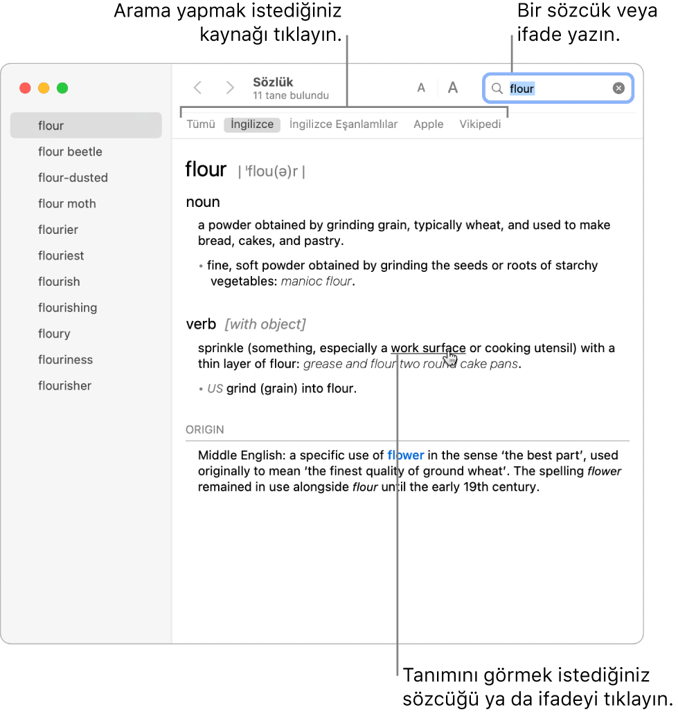 Bir tanım gösteren tam Sözlük penceresi. Tanımda yer alan bir sözcüğün ya da ifadenin tanımını görmek için o sözcüğü ya da ifadeyi tıklayın. Arama yapmak üzere bir kaynak seçmek için araç çubuğunun altındaki kaynak çubuğunda kaynağın adına tıklayın. Arama alanına bir sözcük veya sözcük öbeği yazın.