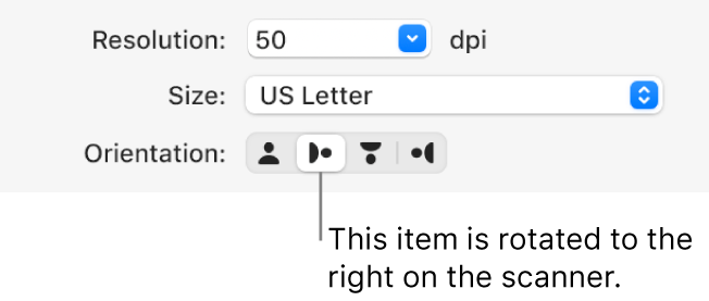 The Orientation buttons in the Scanner window. A highlighted button indicates that an item is rotated to the right on the scanner.
