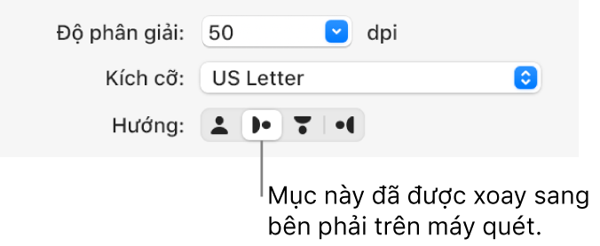 Nút Hướng trong cửa sổ Máy quét. Nút được tô sáng cho biết rằng mục đã được xoay sang bên phải trên máy quét.