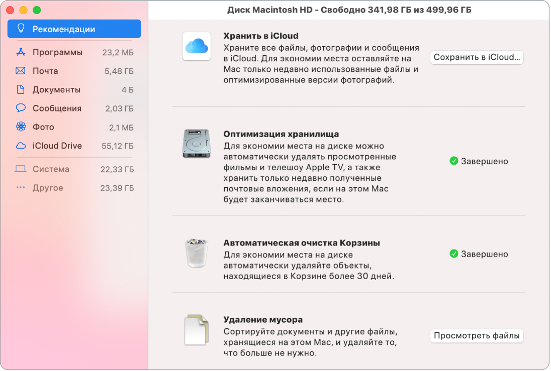 Рекомендуемые настройки хранилища: «Хранение в iCloud», «Оптимизация хранилища», «Автоматическая очистка Корзины» и «Удаление мусора».