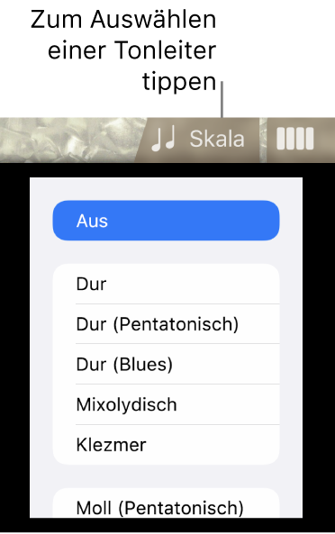 Taste „Skala“ und Tonskalenliste für den Bass